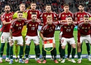 开云下载-波黑国际队与芬兰队展开对抗，争夺胜利的简单介绍