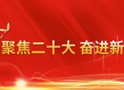 开云体育APP下载-重庆队在角逐中取得压倒性胜利