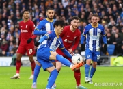 开云体育官方网站-布莱顿主场丢球，难以逆转战局