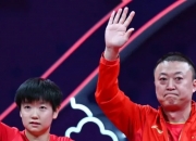 -关于日本羽毛球队险胜印尼羽毛球队，马琳高光表现的信息