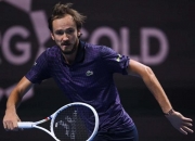 开云体育app-蒙特卡洛大师赛逆转美网，梅德韦杰夫刷新纪录的简单介绍