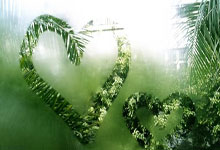 开云APP-EG力克CLG，Mickey创造历史新高！