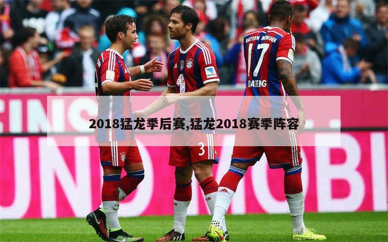 猛龙队赢得关键战役,豪取四连胜 猛龙队赢得关键战役,豪取四连胜