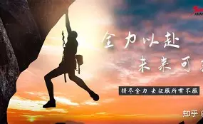 大洋洲拼尽全力，奋力争取胜利的简单介绍