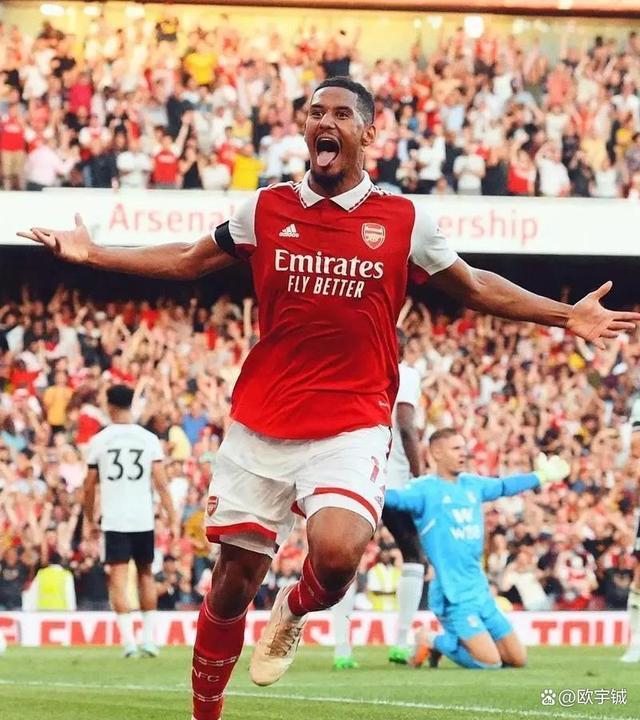 关于阿森纳球迷喜迎球队新援,期待提升球队战绩的信息 关于阿森纳球迷喜迎球队新援,期待提升球队战绩的信息