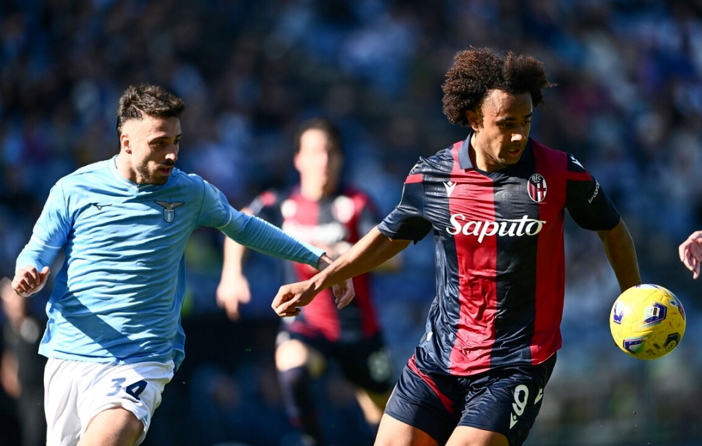 维罗纳主场告捷,保级压力骤减的简单介绍 维罗纳主场告捷,保级压力骤减的简单介绍