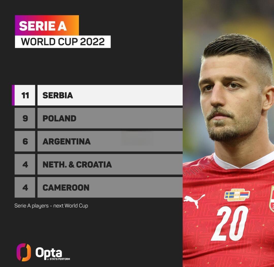 塞尔维亚国脚在球场上展现出色的简单介绍 塞尔维亚国脚在球场上展现出色的简单介绍