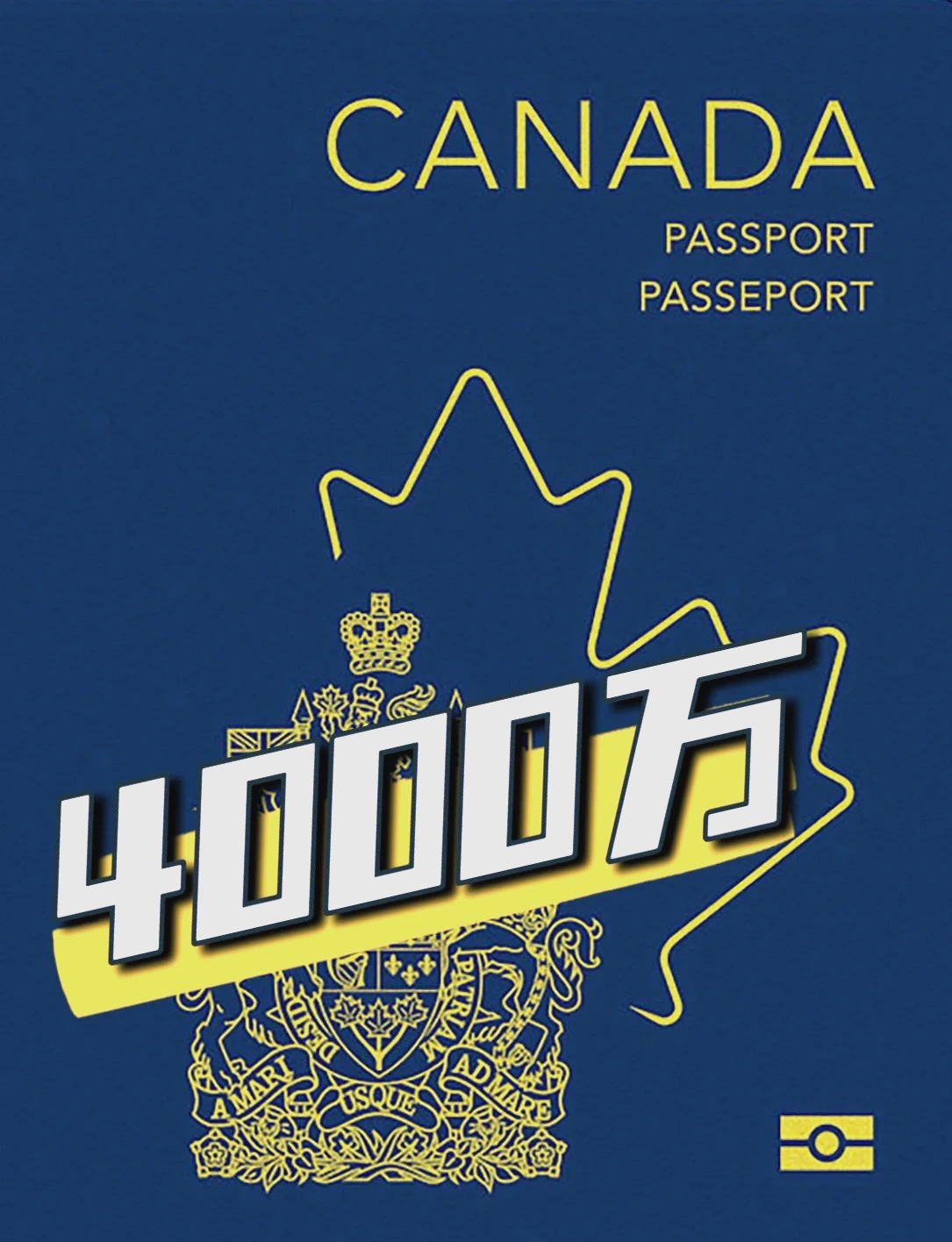 加拿大代表表现抢眼,收获关注 加拿大代表表现抢眼,收获关注