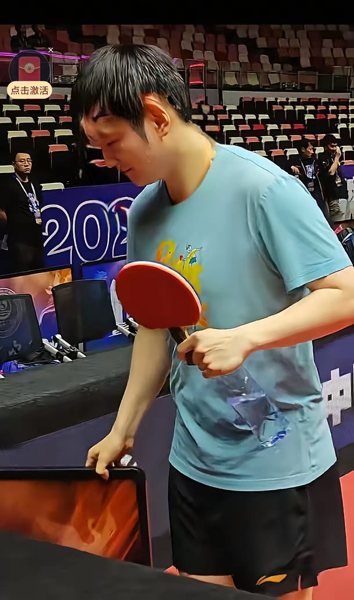 包含中国乒乓球队碾压法国乒乓球队，樊振东关键制胜的词条