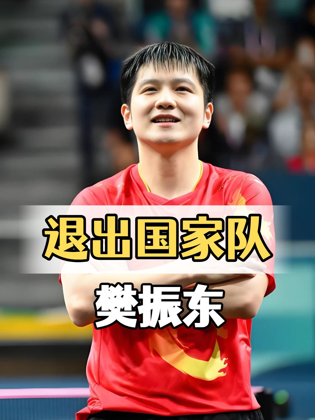 波兰队翻盘德国队，樊振东点燃赛场